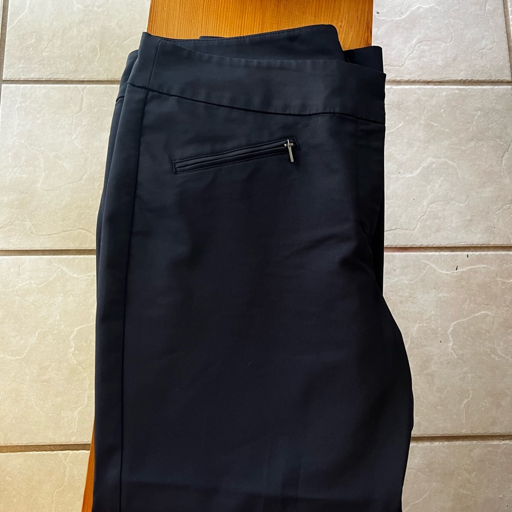 Ann Taylor Dress Pants
